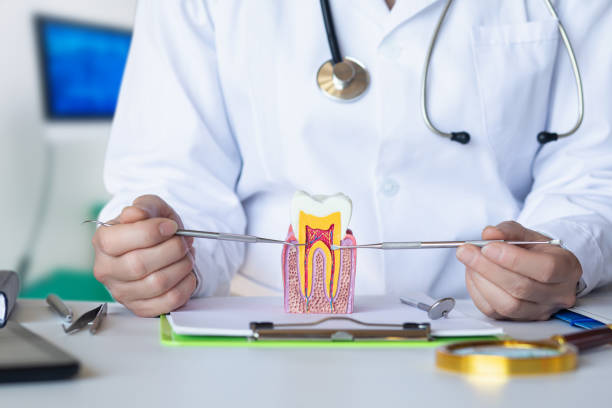 Best Urgent Dental Care for Toothache in North Little Rock, AR